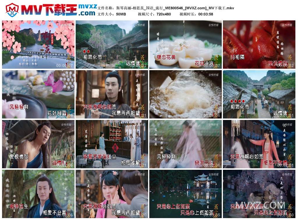 斯琴高丽-相思茧_国语_流行_ME800546